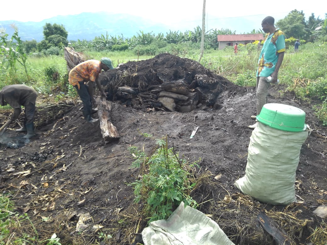 MOVFACOS Rwenzori region farming, Uganda