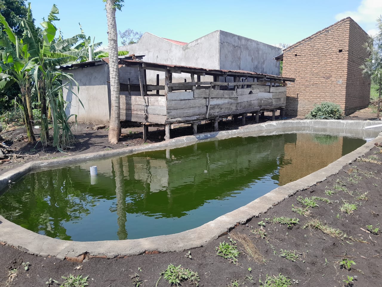 Fish Pond — MOFA Fish Farming Unit, Kasese Uganda