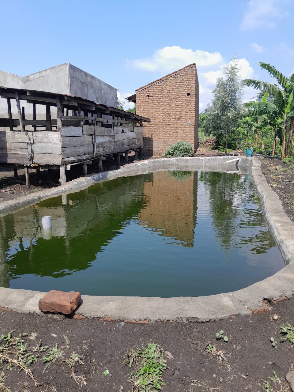 Fish Pond — MOFA Fish Farming Unit, Kasese Uganda