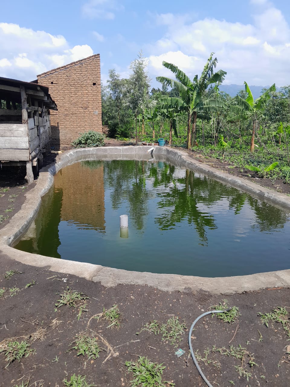 Fish Pond — MOFA Fish Farming Unit, Kasese Uganda