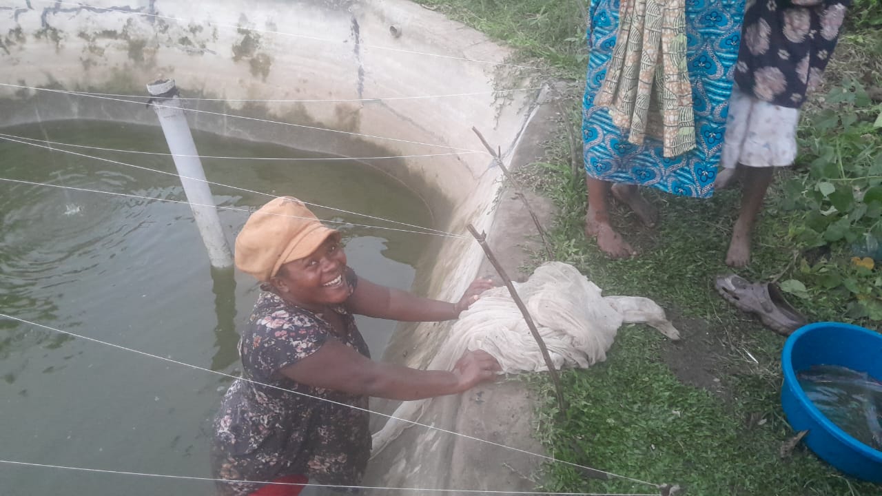 Fish Pond — MOFA Fish Farming Unit, Kasese Uganda